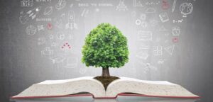 Dr. Subhash University, best private university in Gujarat, top private university in Gujarat, extracurricular activities in universities, holistic education, outside classroom learning, personality development through activities, student life at Dr. Subhash University, sports and cultural activities Gujarat, innovation and entrepreneurship Gujarat, soft skills development in students, university with extracurricular programs, balanced education model, leadership development for students, NSS activities in universities, student innovation labs, student entrepreneurship support, university fests and cultural events, mental well-being in students, social responsibility in education