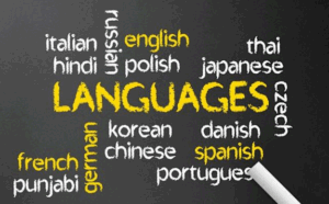 Dr. Subhash University, best private university in Gujarat, language proficiency, global career opportunities, multilingual education Gujarat, foreign language programs in Gujarat, English proficiency coaching, IELTS and TOEFL training Gujarat, language skills for global professionals, intercultural communication, cognitive benefits of language learning, language education in India, study abroad preparation Gujarat, communication skills development, DSU language labs, cultural exchange programs Gujarat, student exchange Dr. Subhash University, international education readiness, employability through language skills

