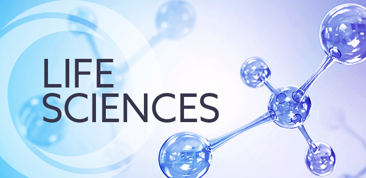 M.Sc. Life Sciences toppers, best private university in Gujarat, Dr. Subhash University, School of Science Junagadh, top M.Sc. Life Sciences college Gujarat, life sciences education in Gujarat, biological sciences programs Gujarat, life sciences student achievements, research-based science education, M.Sc. Life Sciences Semester-2, life sciences academic excellence, top science university Gujarat, biology and biotechnology studies, science student success stories, modern biology labs in Gujarat, university for life sciences research, life sciences career opportunities, interdisciplinary science education, Gujarat university academic toppers, top-performing students in biology