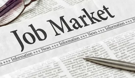 niche job markets, best private university in Gujarat, unique career paths, emerging careers, unconventional job roles, Dr. Subhash University, career exploration for students, future job trends, personalized career development, specialized career opportunities, new-age professions, niche skills development, university career support, creative career options, high-demand niche careers, interdisciplinary education, career in ethical hacking, UX writing jobs, digital forensics career, drone technology careers