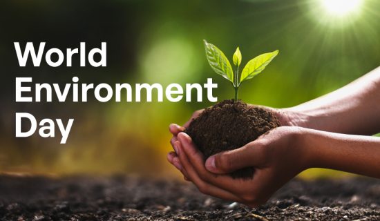 World Environment Day 2025, Stop Plastic Pollution, virtual art contest, online poster competition, plastic-free future, drawing competition on environment, environmental awareness event, IUCEE Student Chapter, Dr. Subhash University events, best private university in Gujarat, student environmental activities, art for environment, plastic pollution awareness, sustainability through art, student competitions India, eco-friendly campaign, say no to plastic, college-level art contest, virtual drawing contest, green initiatives by universities