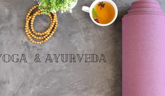 Yog Amrit, International Yoga Day Event Gujarat, Dr. Subhash University Yoga, Yoga and Ayurveda for daily life, Best private university in Gujarat, Yoga session Junagadh, Ayurveda awareness event, Holistic wellness session Gujarat, Yoga for immunity and focus, Yoga and Ayurveda benefits, Free yoga event Gujarat, Yoga for students Gujarat, Guided meditation Gujarat, Ayurvedic lifestyle habits, Yoga and Ayurveda integration, Dinacharya routine tips, Yoga breathing exercises, Yoga day celebration 2025, Holistic education Gujarat, Yoga and Ayurveda for beginners