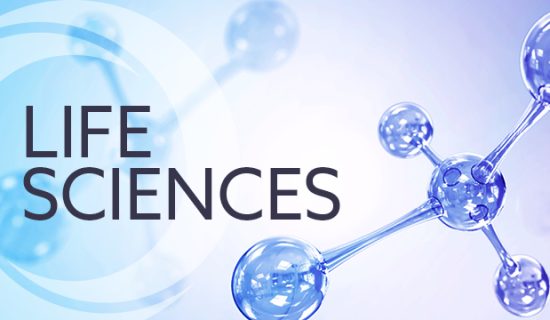 M.Sc. Life Sciences toppers, best private university in Gujarat, Dr. Subhash University, School of Science Junagadh, top M.Sc. Life Sciences college Gujarat, life sciences education in Gujarat, biological sciences programs Gujarat, life sciences student achievements, research-based science education, M.Sc. Life Sciences Semester-2, life sciences academic excellence, top science university Gujarat, biology and biotechnology studies, science student success stories, modern biology labs in Gujarat, university for life sciences research, life sciences career opportunities, interdisciplinary science education, Gujarat university academic toppers, top-performing students in biology