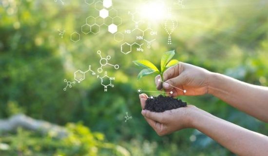 B.Sc Agriculture toppers Dr. Subhash University, Agriculture Semester 2 toppers Gujarat, best private university in Gujarat, School of Agriculture Junagadh, B.Sc Hons Agriculture program in Gujarat, top agriculture students Dr. Subhash University, Agriculture toppers academic excellence, agriculture education in Gujarat, best agriculture college in Gujarat, agricultural science students Junagadh, B.Sc Agriculture course Gujarat, agriculture toppers success stories, Dr. Subhash University toppers recognition, agriculture curriculum in Gujarat universities, student achievement in agriculture studies, agriculture education with practical training Gujarat, future agricultural leaders Dr. Subhash University, best B.Sc Agriculture college in Gujarat, agriculture toppers celebration Dr. Subhash University