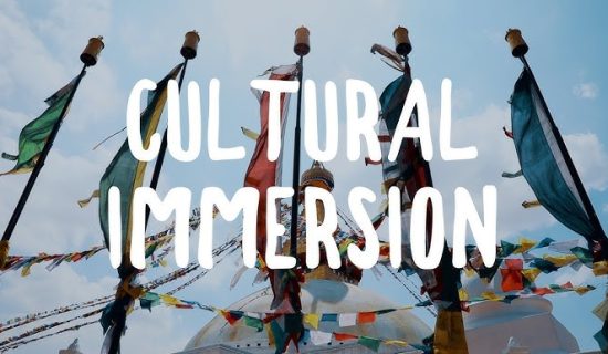 Dr. Subhash University, best private university in Gujarat, cultural immersion in education, global exposure programs, international student exchange Gujarat, study abroad Gujarat, multicultural education, global learning experiences, cross-cultural communication skills, international internships, cultural diversity in universities, education for global citizenship, international collaborations, global leadership development, cultural intelligence